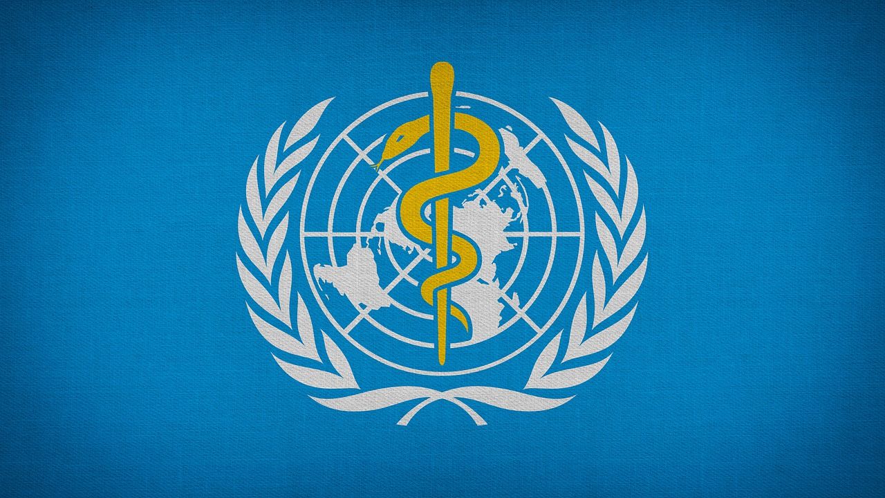 The Final Report of the International Health Regulations Review